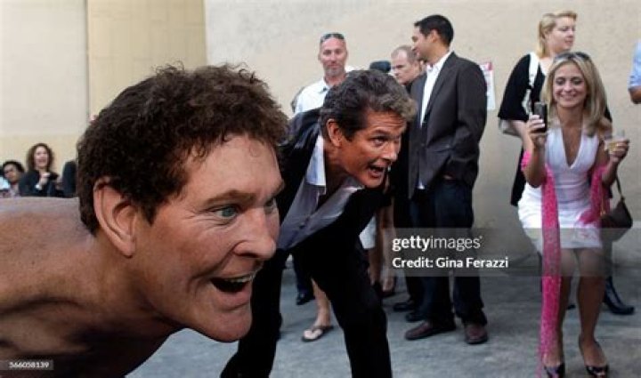 David Hasselhoff Taille