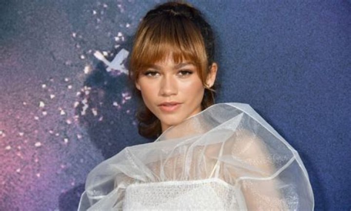 Know About Zendaya; Age, Parents, Height, Movies, Boyfriend, Instagram